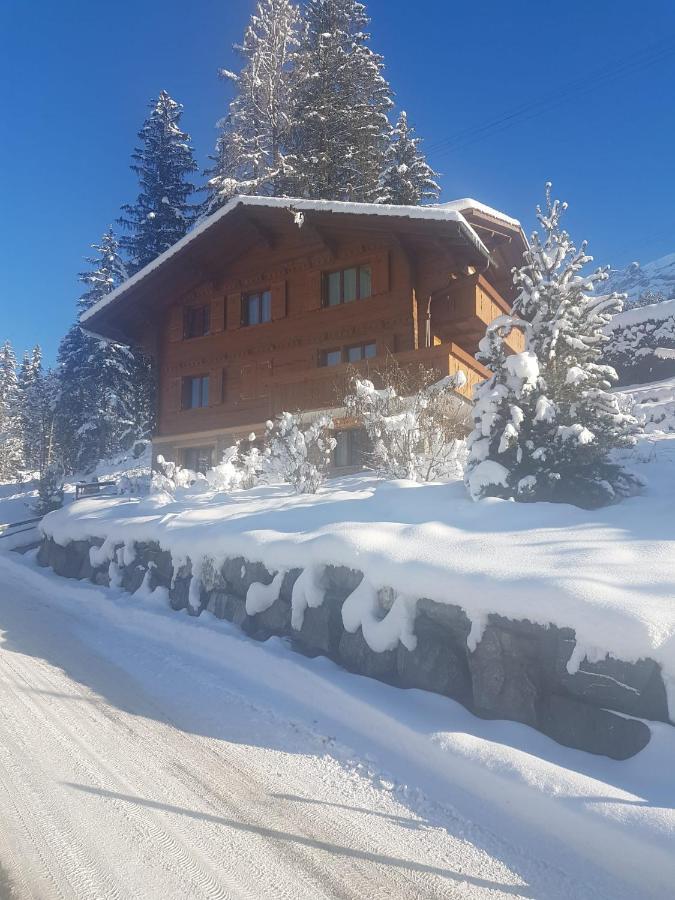 אדלבודן Chalet Grueneggli מראה חיצוני תמונה